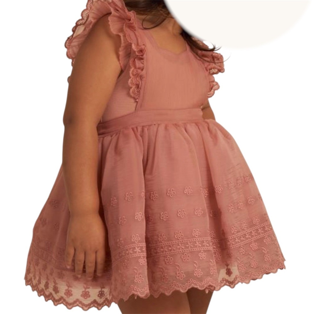 Noralee Size 18 Month Lipstick Embroidered Flutter Sleeve Organza Pinafore Dress